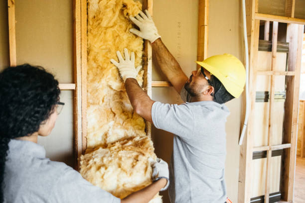 Best Eco-Friendly or Green Insulation Solutions  in Tuscola, IL